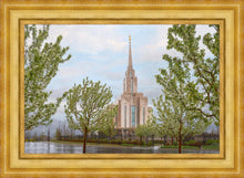 Load image into Gallery viewer, Oquirrh Mountain Rainfall
