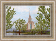 Load image into Gallery viewer, Oquirrh Mountain Rainfall
