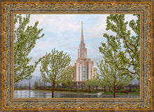 Load image into Gallery viewer, Oquirrh Mountain Rainfall
