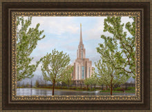 Load image into Gallery viewer, Oquirrh Mountain Rainfall
