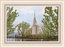 Load image into Gallery viewer, Oquirrh Mountain Rainfall
