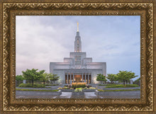 Load image into Gallery viewer, Draper Cool Summer
