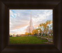 Load image into Gallery viewer, Oquirrh Mountain Hillside
