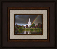 Load image into Gallery viewer, Idaho Falls Rainbow

