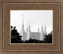 Load image into Gallery viewer, A Place of Peace Washington DC
