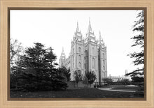 Load image into Gallery viewer, A Place of Peace Salt Lake City
