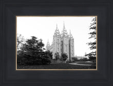 Load image into Gallery viewer, A Place of Peace Salt Lake City
