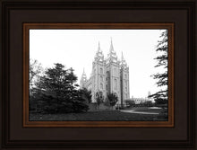 Load image into Gallery viewer, A Place of Peace Salt Lake City
