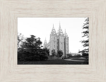 Load image into Gallery viewer, A Place of Peace Salt Lake City
