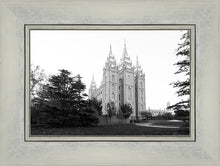 Load image into Gallery viewer, A Place of Peace Salt Lake City
