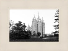 Load image into Gallery viewer, A Place of Peace Salt Lake City
