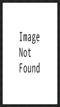 Load image into Gallery viewer, Provo City Center Arise and Stand Forth
