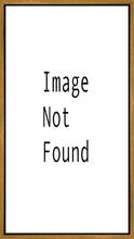 Load image into Gallery viewer, Provo City Center Arise and Stand Forth
