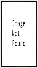 Load image into Gallery viewer, Provo City Center Arise and Stand Forth
