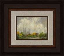 Load image into Gallery viewer, Washington DC Temple
