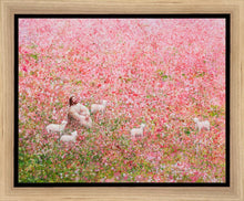 Load image into Gallery viewer, Shepherd's Rest
