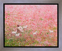 Load image into Gallery viewer, Shepherd's Rest
