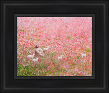Load image into Gallery viewer, Shepherd's Rest
