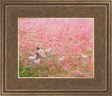 Load image into Gallery viewer, Shepherd's Rest
