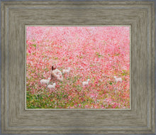 Load image into Gallery viewer, Shepherd's Rest
