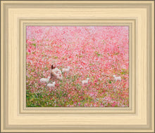 Load image into Gallery viewer, Shepherd's Rest
