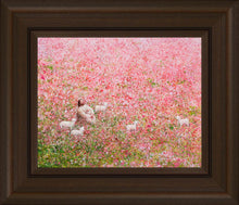 Load image into Gallery viewer, Shepherd's Rest
