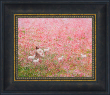 Load image into Gallery viewer, Shepherd's Rest
