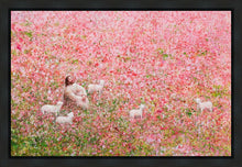 Load image into Gallery viewer, Shepherd's Rest
