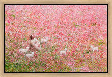 Load image into Gallery viewer, Shepherd's Rest
