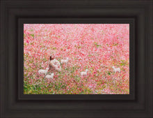 Load image into Gallery viewer, Shepherd's Rest
