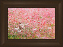 Load image into Gallery viewer, Shepherd's Rest
