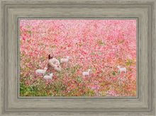 Load image into Gallery viewer, Shepherd's Rest

