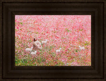 Load image into Gallery viewer, Shepherd's Rest
