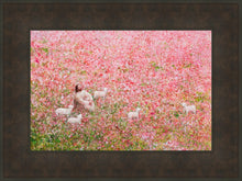 Load image into Gallery viewer, Shepherd's Rest
