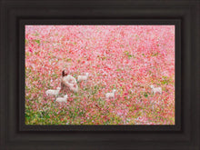 Load image into Gallery viewer, Shepherd's Rest

