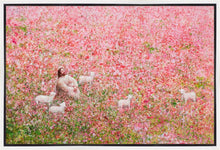 Load image into Gallery viewer, Shepherd's Rest
