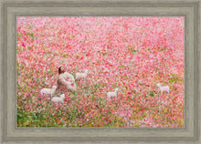 Load image into Gallery viewer, Shepherd's Rest
