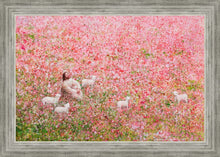 Load image into Gallery viewer, Shepherd's Rest

