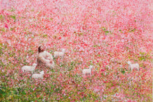 Load image into Gallery viewer, Shepherd's Rest
