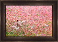 Load image into Gallery viewer, Shepherd's Rest
