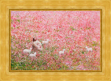 Load image into Gallery viewer, Shepherd's Rest
