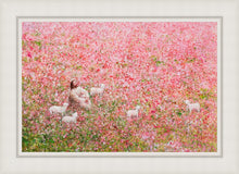 Load image into Gallery viewer, Shepherd's Rest
