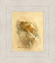 Load image into Gallery viewer, Found
