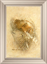 Load image into Gallery viewer, Found
