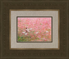 Load image into Gallery viewer, Shepherd's Rest
