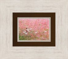 Load image into Gallery viewer, Shepherd's Rest
