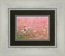 Load image into Gallery viewer, Shepherd's Rest
