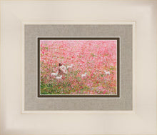 Load image into Gallery viewer, Shepherd's Rest
