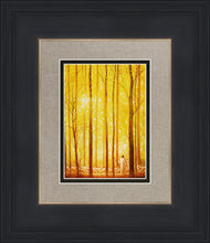 Load image into Gallery viewer, Awesome Wonder

