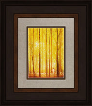 Load image into Gallery viewer, Awesome Wonder
